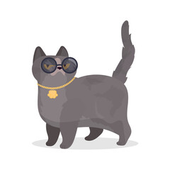 Funny cat with glasses. Cat sticker with a serious look. Good for stickers, t-shirts and postcards. Isolated. Vector.