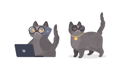 Funny cat with glasses. Cat sticker with a serious look. Good for stickers, t-shirts and postcards. Isolated. Vector.