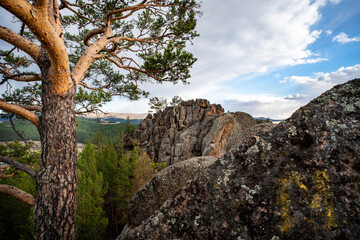 Rocks with pine trees against the sky, spring