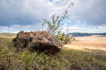 stone lying near the field against the sky and rural landscape