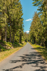 Hiking in a national park, panorama