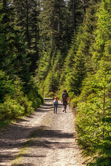 Fototapeta premium Hiking in a national park