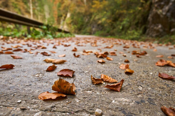 Empty road in the mountains