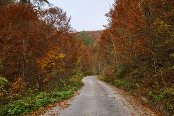 Fototapeta na wymiar Empty road in the mountains