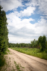 Fototapeta na wymiar sky clouds after rain trees summer forest country road