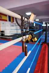 Kickboxing equipment