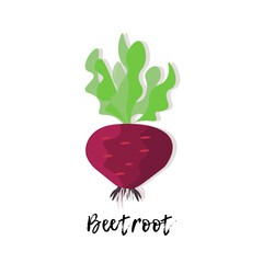 Single vegetable. Beetroot with green leaves.  Flat style vector illustration.