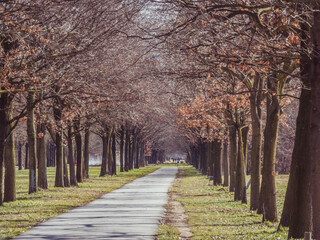 Shoot from the parco Nord Milan