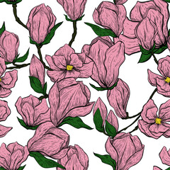 magnolia seamless pattern, hand drawn vector