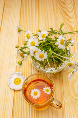 Chamomile tea. Fresh flowers, summer hot drink concept. Alternative medicine, lifestyle