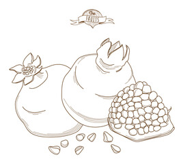 Vector illustration Outline hand drawn pomegranate (flat style, thin line).