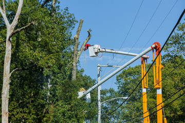 Worker with chainsaw seasonal sanitary trimming the tree branches on the high Hydraulic