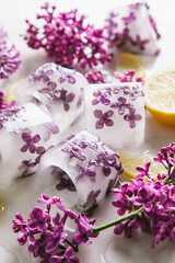 Beautiful lilac flowers frozen in ice cubes on a white background.