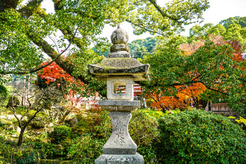 Fototapeta premium A peaceful background of autumn Japanese garden and a traditional granite stone lamp post in the middle