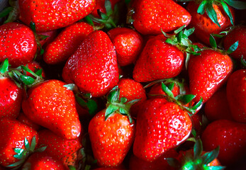 Closeup photography of fresh strawberry lying in the water.Top view,many fresh berries.Good for placing text.Food background.Bright,colorful backdrop.