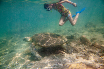 Obraz premium A girl swims with a large turtle in the sea ocean near a coral reef in Sri Lanka.