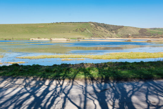 Views of Cucmere river near Seaford and Eastbourne, East Sussex, view from Friston forest across the road, selective focus