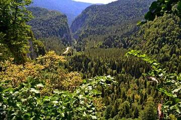 Abkhazia mountains Rizza lake mountain river