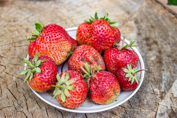 Red strawberries on a beautiful white porcelain plate. Rustic big and small, delicious and flavorful. With green stalks. On a wooden saw.