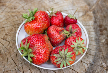 Red strawberries on a beautiful white porcelain plate. Rustic big and small, delicious and flavorful. With green stalks. On a wooden saw.