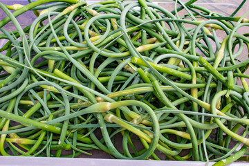 Garlic arrows, fresh cut, in a rectangular container. Green, twisted in a spiral, with seeds at the tip in the form of a box.