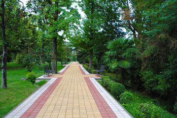 walkway in the park