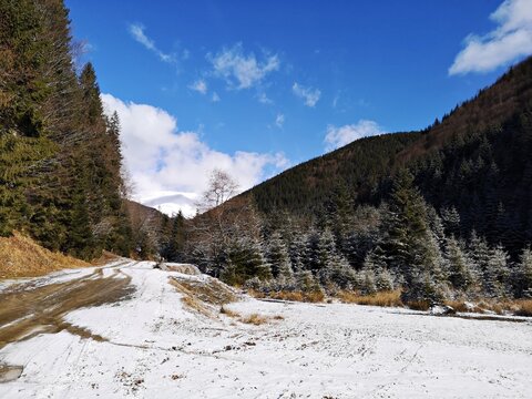 Country road in the mountains. Winter landscape. 