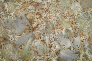 Fragment of hand-dyed fabric using eco-print technique