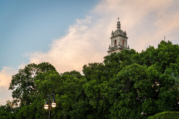 Tree lined central square Plaza Grande and a tower of the cathedral, Merida, Yucatan, Mexico