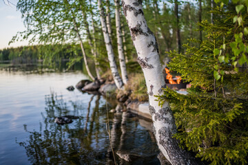 birch and lake with kokko