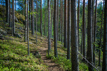 nature path