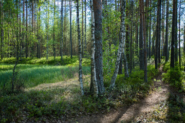 nature path
