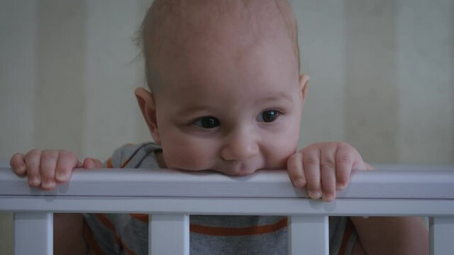 Cheerful Little Baby Nibbles On The Railing Of His Crib And Smiles