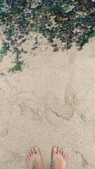 beautiful beach with stunning rocks, nature and white sand