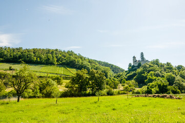 Obraz premium Arlesheim, Schloss Birseck, Birseck, Burg, Ruine, Eremitage, Dornach, Spazierweg, Wanderweg, Landwirtschaft, Obstbäume, Weinberge, Baselland, Frühling, Sommer, Schweiz