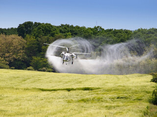 Aerial spraying over a field of wheat to control pests in agriculture
