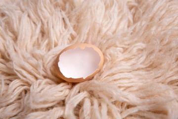 Empty egg shell newborn digital background backdrop.