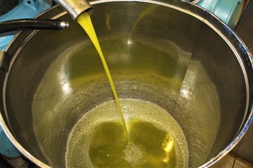 Greece, Attica, extra virgin olive oil extraction process in olive oil mill.