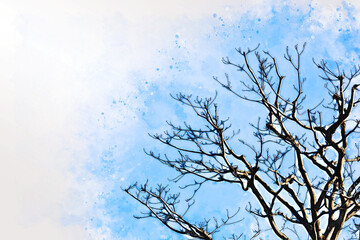 Abstract colorful branch tree in forest on watercolor illustration painting background.