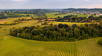 Rural Scene, mountains landscape at sunset. Vineyard in Italy. Aerial landscape. Drone panoramic scene. - 354653558