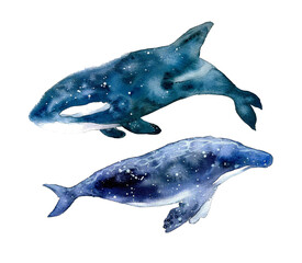 Watercolor whale and dolphin isolated on the white background