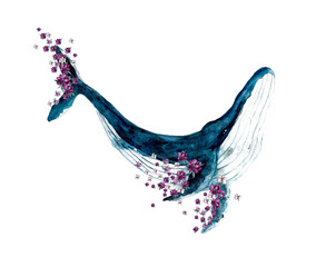 Watercolor whale isolated on the white background © Татьяна Комцян