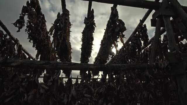 Fish drying on wooden racks Iceland lens flare.mov
