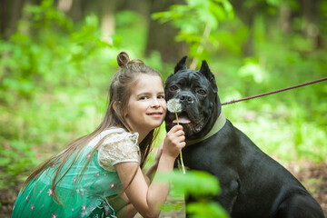 A fashionable girl in a beautiful white dress plays with flowers with a big black dog