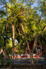 Santa Lucia Park, a popular downtown square, Merida, Yucatan, Mexico