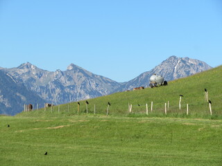 Bergblick