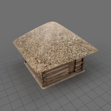 Medieval hut