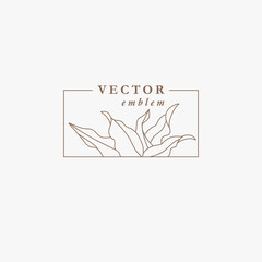Vector logo floral design template in trendy linear style. Plant and monogram with elegant leaves. Emblem for fashion, beauty and jewellery industry.