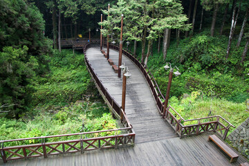The wood bridge in forest at alishan,taiwan