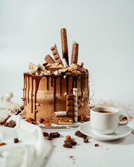Chocolate cake decorated with various cookies and nuts on a glass plate standing on a white cloth. Food photography. Advertising and commercial close up design.